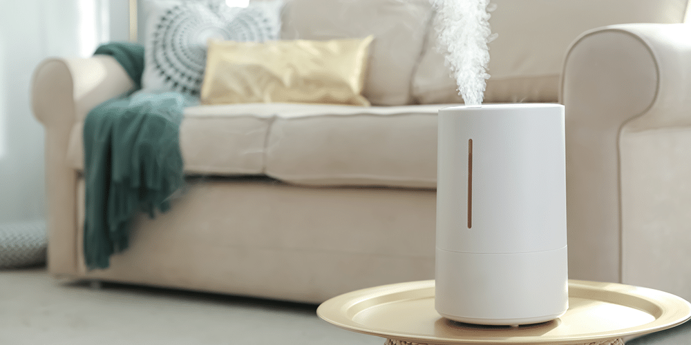 Homeowners need a humidifier.