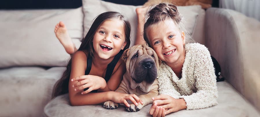 Air Cleaners Two young sisters and their dog smile at the camera on the gray family room couch.